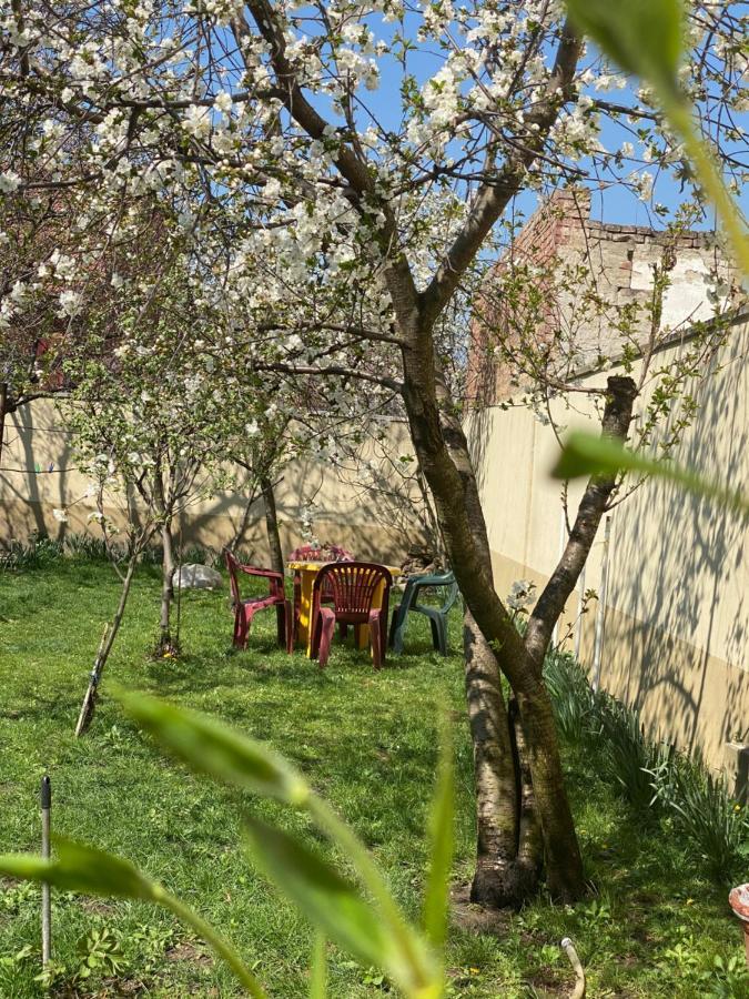Zen House Hostel Timisoara Exterior photo